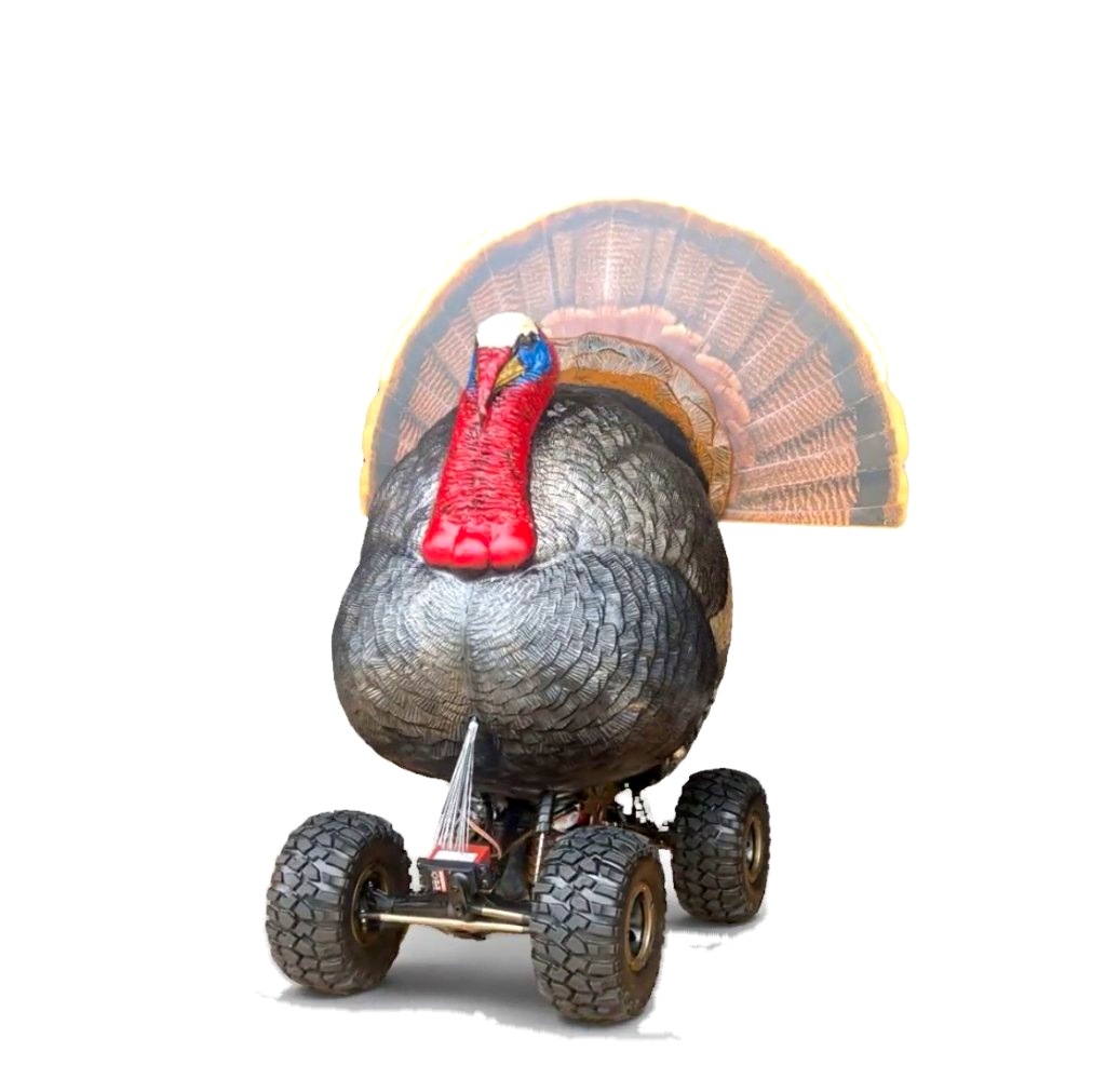 Mobo Gobbler, three-quarter front view