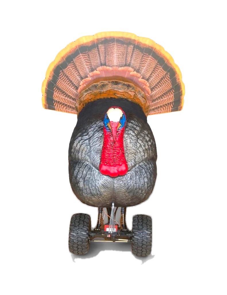 Mobo Gobbler build, full strut